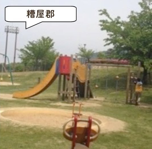 若杉の森公園の遊具・園内の様子